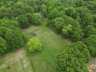 23± acres in Cass County McLeod area mixed timber property - image 8