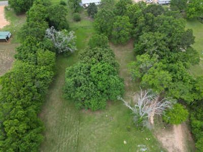 23± acres in Cass County McLeod area mixed timber property - image 14
