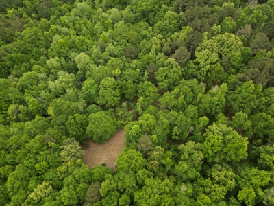 23± acres in Cass County McLeod area mixed timber property - image 13