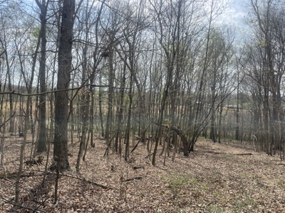 86.5 Acre Butler Co. Farm with Home Selling @ Auction in 4 Tracts - image 14
