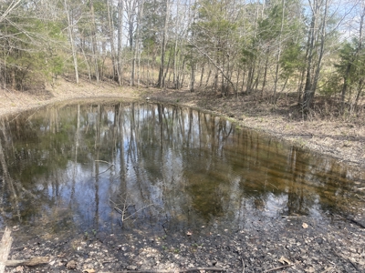 86.5 Acre Butler Co. Farm with Home Selling @ Auction in 4 Tracts - image 24