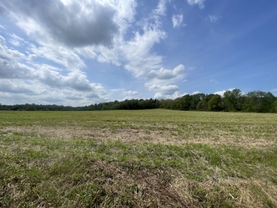 86.5 Acre Butler Co. Farm with Home Selling @ Auction in 4 Tracts - image 1
