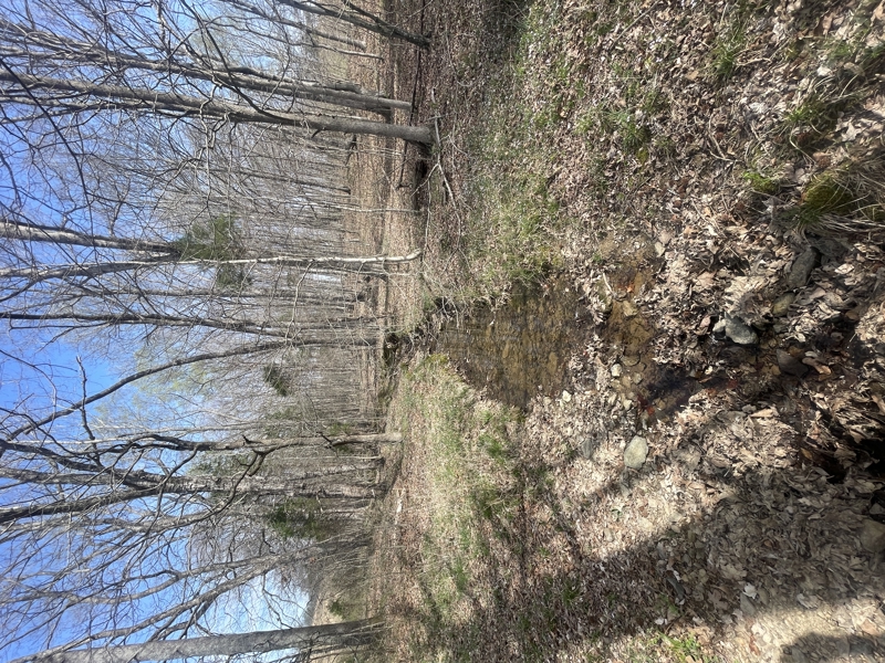 No Caption