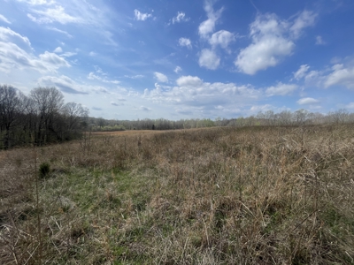 86.5 Acre Butler Co. Farm with Home Selling @ Auction in 4 Tracts - image 17