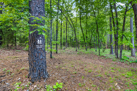 Rustic Cabin on 13.93 Acres – Near Lake Wister & Ouachita Forest - image 8