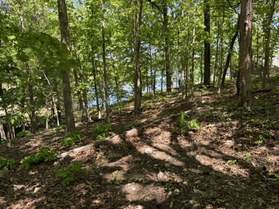 Lakefront Lot For Sale In North Central Arkansas - image 13