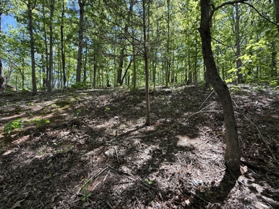 Lakefront Lot For Sale In North Central Arkansas - image 9