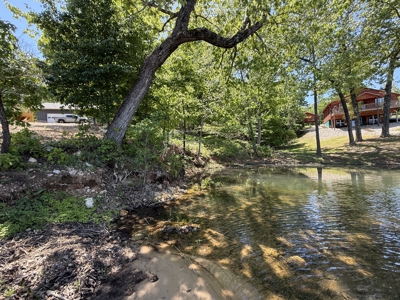 Lakefront Lot For Sale In North Central Arkansas - image 8