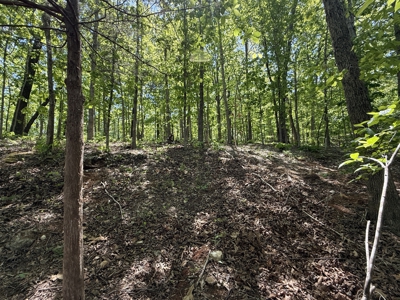Lakefront Lot For Sale In North Central Arkansas - image 11