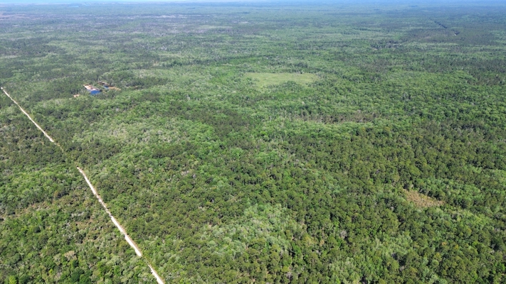 Hunting Tracts Near Suwannee River | Levy County | 40-192 Acres