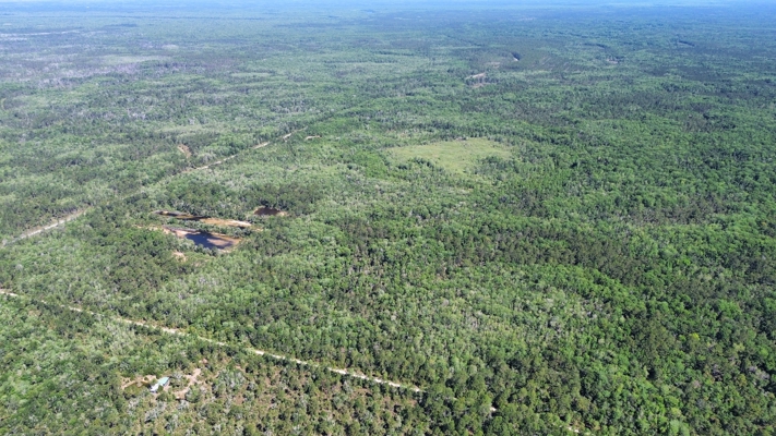 Hunting Tracts Near Suwannee River | Levy County | 40-192 Acres