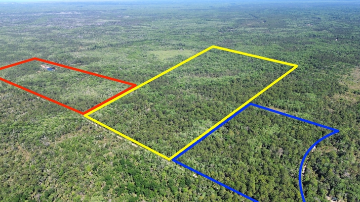 Hunting Tracts Near Suwannee River | Levy County | 40-192 Acres