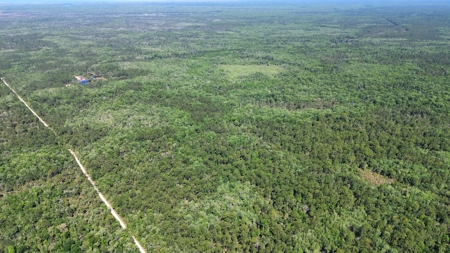 Tiger Island Sportsman's Club | Levy County, FL | 40–192 Acres - image 14