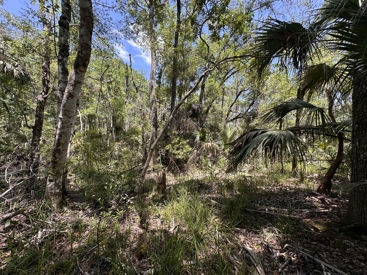Listing 102