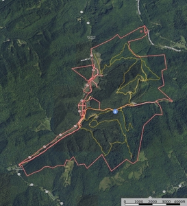 1,200-Acre Tazewell Mountain Legacy: The Dry Fork Estate - image 2