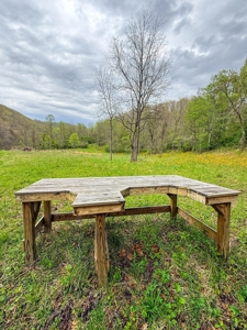 1,200-Acre Tazewell Mountain Legacy: The Dry Fork Estate - image 47