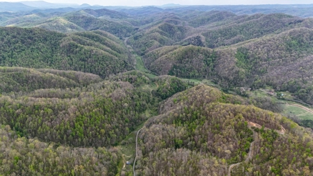 1,200-Acre Tazewell Mountain Legacy: The Dry Fork Estate - image 37