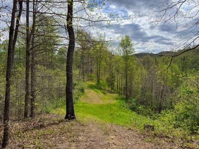 1,200-Acre Tazewell Mountain Legacy: The Dry Fork Estate - image 39