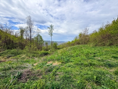 1,200-Acre Tazewell Mountain Legacy: The Dry Fork Estate - image 49