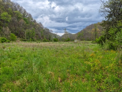 1,200-Acre Tazewell Mountain Legacy: The Dry Fork Estate - image 9