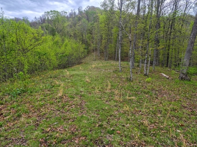 1,200-Acre Tazewell Mountain Legacy: The Dry Fork Estate - image 7