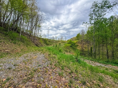 1,200-Acre Tazewell Mountain Legacy: The Dry Fork Estate - image 42