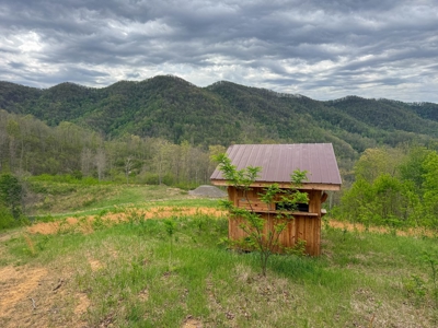 1,200-Acre Tazewell Mountain Legacy: The Dry Fork Estate - image 44