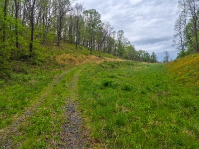 1,200-Acre Tazewell Mountain Legacy: The Dry Fork Estate - image 6