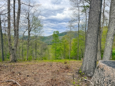1,200-Acre Tazewell Mountain Legacy: The Dry Fork Estate - image 41