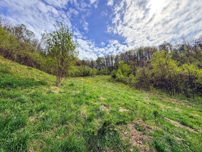 1,200-Acre Tazewell Mountain Legacy: The Dry Fork Estate - image 50