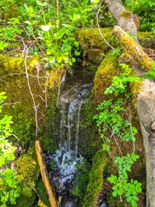 1,200-Acre Tazewell Mountain Legacy: The Dry Fork Estate - image 13