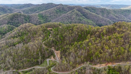 1,200-Acre Tazewell Mountain Legacy: The Dry Fork Estate - image 35