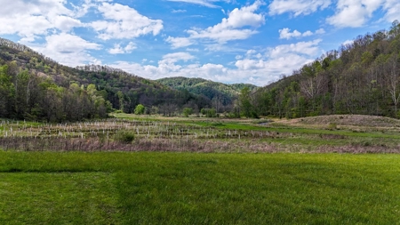 1,200-Acre Tazewell Mountain Legacy: The Dry Fork Estate - image 32