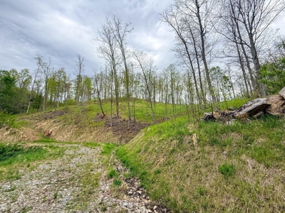 1,200-Acre Tazewell Mountain Legacy: The Dry Fork Estate - image 46