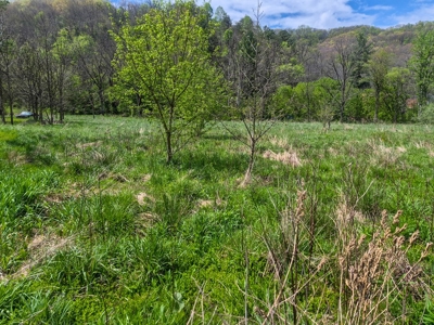 1,200-Acre Tazewell Mountain Legacy: The Dry Fork Estate - image 10