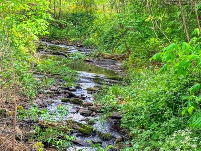 1,200-Acre Tazewell Mountain Legacy: The Dry Fork Estate - image 48