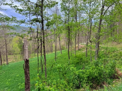 1,200-Acre Tazewell Mountain Legacy: The Dry Fork Estate - image 45
