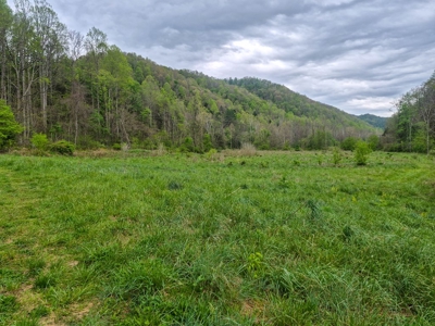 1,200-Acre Tazewell Mountain Legacy: The Dry Fork Estate - image 5