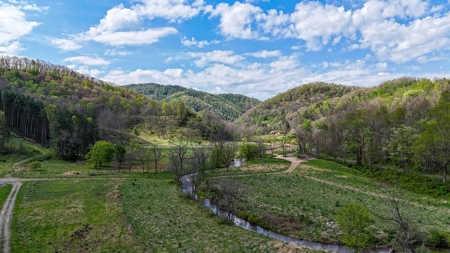1,200-Acre Tazewell Mountain Legacy: The Dry Fork Estate - image 1