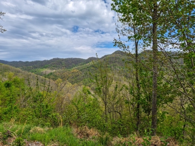 1,200-Acre Tazewell Mountain Legacy: The Dry Fork Estate - image 14