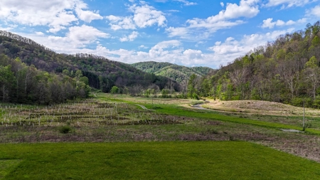 1,200-Acre Tazewell Mountain Legacy: The Dry Fork Estate - image 30