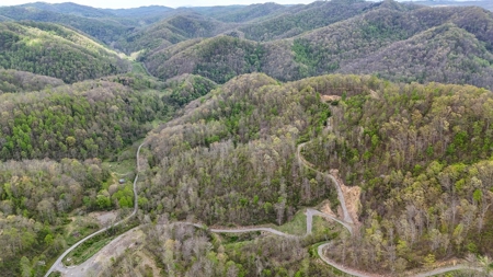 1,200-Acre Tazewell Mountain Legacy: The Dry Fork Estate - image 33
