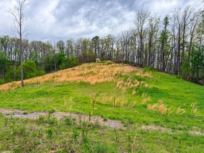 1,200-Acre Tazewell Mountain Legacy: The Dry Fork Estate - image 43