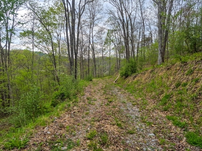 1,200-Acre Tazewell Mountain Legacy: The Dry Fork Estate - image 3