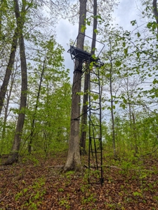 1,200-Acre Tazewell Mountain Legacy: The Dry Fork Estate - image 8