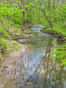 1,200-Acre Tazewell Mountain Legacy: The Dry Fork Estate - image 17
