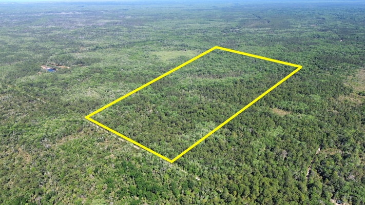 111 Acres Near Suwannee River | Smaller & Larger Tracts Available