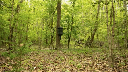 385 Acres Pearl River Frontage Louisiana - image 7