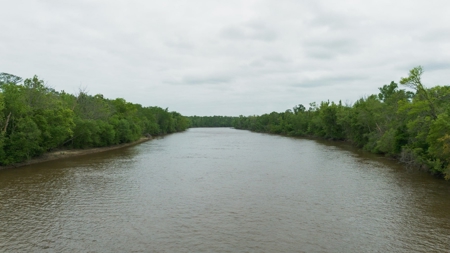 385 Acres Pearl River Frontage Louisiana - image 18