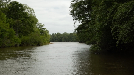 385 Acres Pearl River Frontage Louisiana - image 24